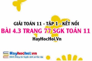Giải bài 4.3 trang 77 Toán 11 tập 1 SGK Kết nối tri thức